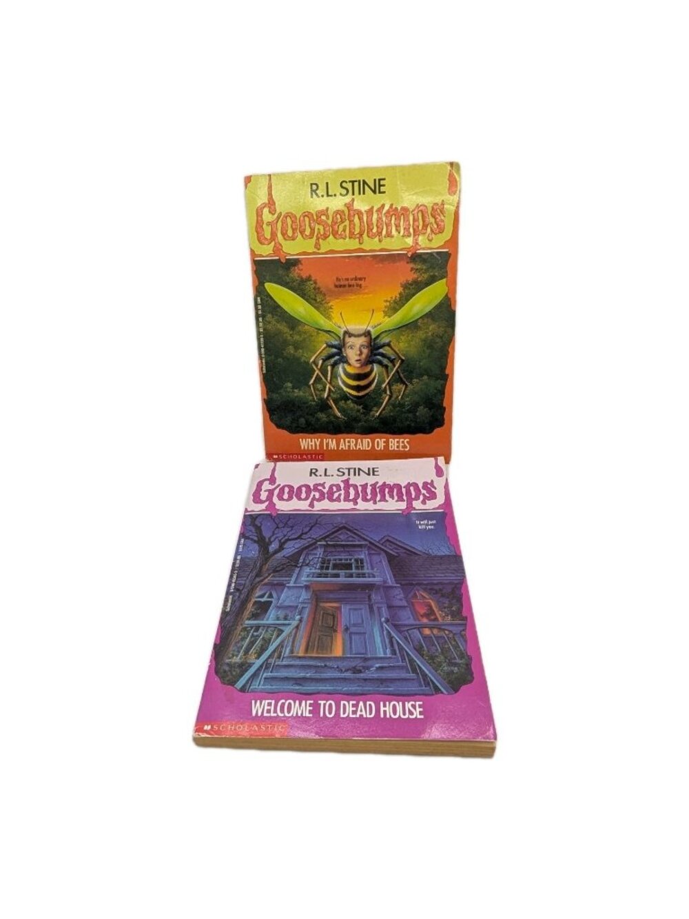 90's Goosebumps Welcome Dead House R.L Stine 15th print Afraid of bees 9th print